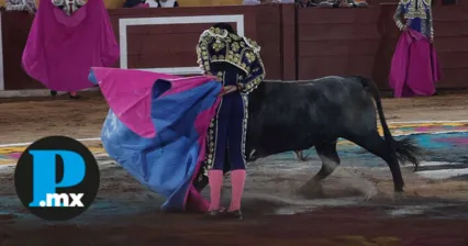 Bienestar Animal logra la suspensión de corridas de toros en Tlachichuca