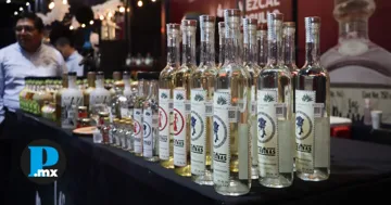 Puebla ocupa el segundo lugar a nivel nacional en la producción de mezcal