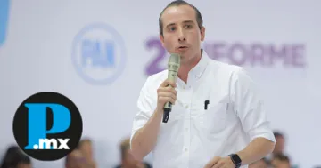 El dirigente panista subrayó que la dirigencia estatal mantendrá filtros estrictos
