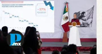 Homicidios dolosos caen 37% con Estrategia Nacional de Seguridad: Sheinbaum