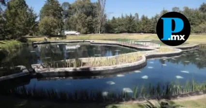 Gobierno de la Ciudad invita a visitar parques de la capital durante temporada decembrina