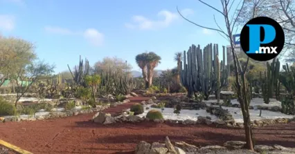 Especialistas ambientales supervisan la salud de las especies end&eacute;micas en el vivero municipal, como parte de la estrategia para convertir a Tehuac&aacute;n en un referente de conservaci&oacute;n bot&aacute;nica.