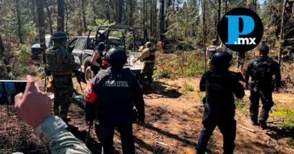 Golpe a la tala ilegal: SEMAR y estados aseguran madera en l&iacute;mites Puebla-Tlaxcala