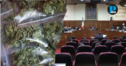 La Suprema Corte de Justicia de la Naci&oacute;n resolvi&oacute; que la sanci&oacute;n penal no puede aplicarse de forma autom&aacute;tica por rebasar el l&iacute;mite legal de cannabis.