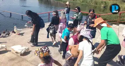 Las y los menores aprenden a proteger aves en el Parque Laguna de Chapulco