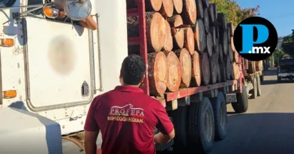 Operativo contra la tala ilegal deja clausuras y aseguramientos en Tlaxcala; en Puebla s&oacute;lo detectan irregularidades menores