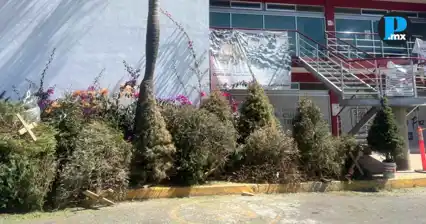 Verde Navidad 2026 concluye este 15 de febrero en Cuautlancingo