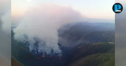 Incendio en la Sierra Negra de Puebla consume 150 hect&aacute;reas y sigue activo