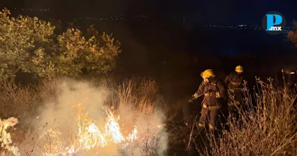 Autoridades controlaron un incendio forestal en el Cerro de la Mesa