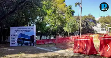 Infraestructura trasplantar&aacute; 280 &aacute;rboles por obras del Cableb&uacute;s en Puebla