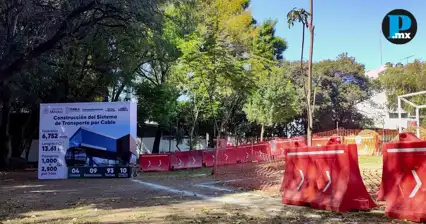 Infraestructura trasplantar&aacute; 280 &aacute;rboles por obras del Cableb&uacute;s en Puebla