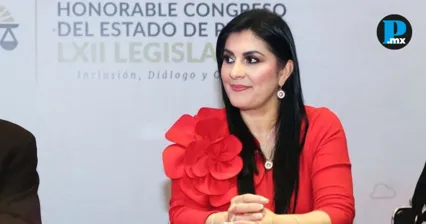 Congreso de Puebla pide claridad sobre derribo de &aacute;rboles por transporte por cable