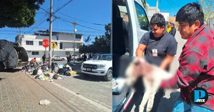 Ayuntamiento de Tehuac&aacute;n refuerza vigilancia ambiental