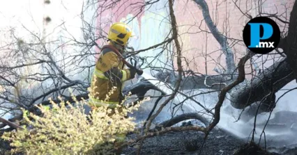 Bomberos de Cuautlancingo sofocan incendio de pastizal en la cabecera municipal