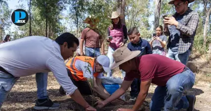 Puebla refuerza reforestaci&oacute;n con meta de m&aacute;s de 100 mil &aacute;rboles