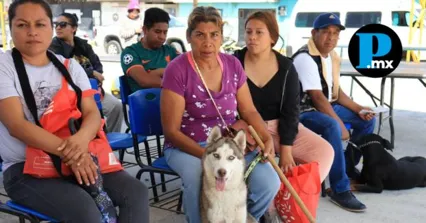 Gobierno de la Ciudad despliega jornadas de bienestar animal en juntas auxiliares y colonias