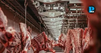 Operativos en Puebla frenan carne clandestina sin sellos sanitarios.