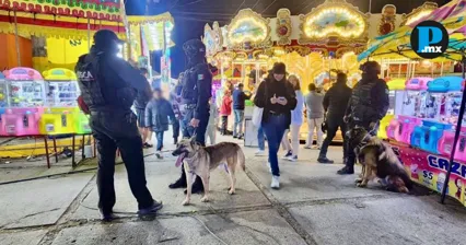 Detectan droga y clausuran negocio en feria de Cuautlancingo