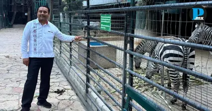 Tehuac&aacute;n avanza en proyecto de rescate del zool&oacute;gico Club de los Animalitos