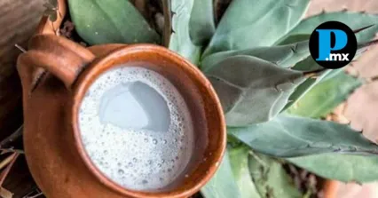 Con evidencias que datan del 6,500 a.C., buscan que Puebla sea reconocida legalmente como la cuna de la "bebida de los dioses".