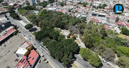 Cableb&uacute;s en Puebla: Reducen afectaci&oacute;n ambiental de 980 a 97 &aacute;rboles
