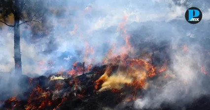  Puebla emite recomendaciones para actuar ante incendios forestales