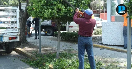 Refuerza poda y limpieza en parques y espacios p&uacute;blicos de Puebla capital