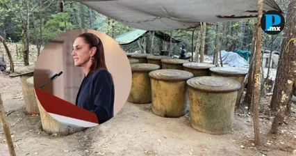 La presidenta solicitar&aacute; informaci&oacute;n sobre un operativo antidrogas en Chihuahua