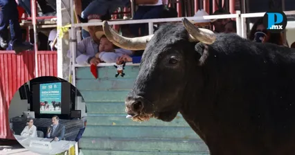 Mayor&iacute;a de poblanos rechaza la tauromaquia: activistas llaman a prohibirla
