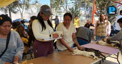 Puebla aplica m&aacute;s de 4 mil c&eacute;dulas para evaluar servicios p&uacute;blicos