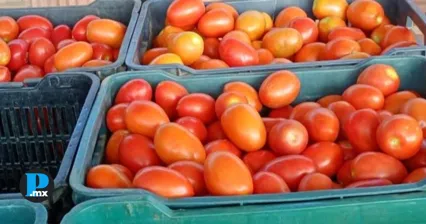 Puebla y Morelos ser&aacute;n clave para frenar alza del precio del jitomate: Profeco