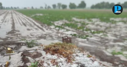 Granizo afecta 170 hect&aacute;reas de cultivo tras granizada en Puebla