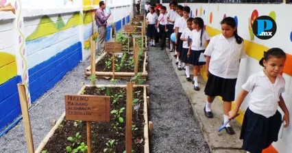Buscan desde el Congreso instalar huertos en escuelas y ciudades de Puebla