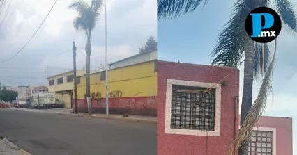 Estructuras arb&oacute;reas e instalaciones de servicios p&uacute;blicos expuestas al reblandecimiento de tierra durante la actual temporada de precipitaciones en la angel&oacute;polis.