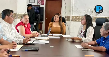  Guadalupe B&aacute;rcenas se separar&aacute; temporalmente del cargo durante la auditor&iacute;a en Acatl&aacute;n