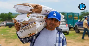 Productores de la Mixteca reciben apoyos para impulsar cultivos de sorgo