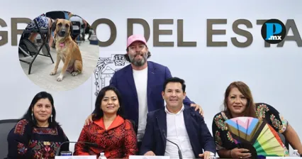 Congreso de Puebla refuerza agenda por bienestar animal