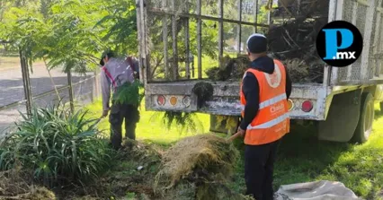 Los operativos de mantenimiento preventivo y correctivo se concentraron en las zonas que registraban mayor rezago en alumbrado p&uacute;blico.