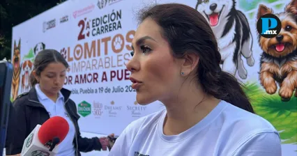 En Puebla, hay 50 carpetas de investigaci&oacute;n en curso por maltrato animal y buscan crear Fiscal&iacute;a Especializada