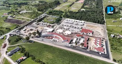 C&eacute;lula de Bienestar Animal atender&aacute; casos de maltrato; no ser&aacute; cl&iacute;nica p&uacute;blica