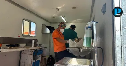 Puebla alcanza 18 mil 678 esterilizaciones gratuitas de mascotas