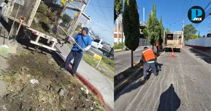 Ayuntamiento de San Pedro Cholula refuerza mantenimiento en &aacute;reas verdes municipales