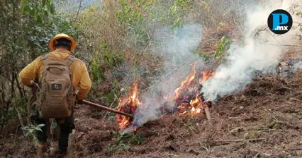 Puebla reduce 55% la superficie afectada por incendios forestales
