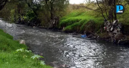 Diputada plantea proteger a v&iacute;ctimas de afectaciones ambientales en Puebla