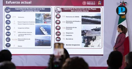 Sheinbaum anuncia estrategia nacional para combatir sargazo