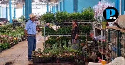 Remodelan mercado de plantas en Huauchinango con inversi&oacute;n de Obra Comunitaria