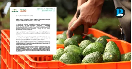 La APEAM advirti&oacute; que la suspensi&oacute;n de exportaciones de aguacate a Estados Unidos afecta a miles de productores y trabajadores.