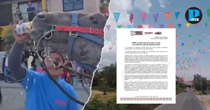 FGE investigar&aacute; caso de presunto maltrato animal en Huixcolotla