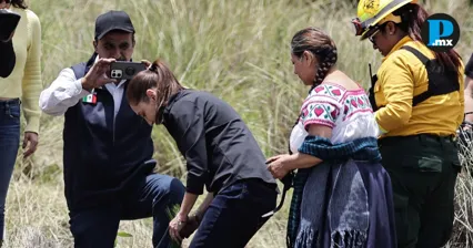 M&eacute;xico sembrar&aacute; 6 millones de plantas; jornada nacional de reforesraci&oacute;n comienza en Puebla