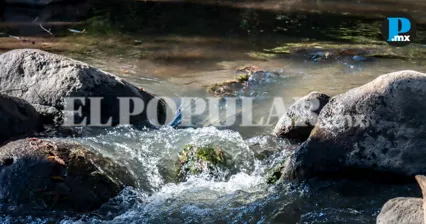 Armenta buscar&aacute; a Delfina G&oacute;mez para frenar contaminaci&oacute;n del R&iacute;o Atoyac